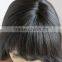 AAAAA front lace wigs for black women,beauty virgin brazilian hair lace wig,human hair wig