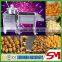 Stainless steel fashionable appearance popcorn machines sale