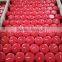 wedding decorative 6pcs/box red votive candle
