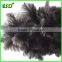 Large Natural Ostrich Feather Duster With Wooden Handle