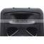15 inch wireless mic speaker with light WP-3