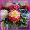 Low price high quality export factory artificial Peony
