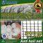 55 grm 7x2.2mm HDPE hail protection net for Strawberries