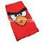 Red Bird Kids Slumber Sleeping Bag & Backpack