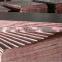 film faced plywood from factory