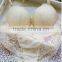 Adjusted-straps 3/4 Cup Three rows two buckle Cotton Lace Embroidery Sexy Lingerie Bra set Push up Underwear Set