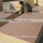 5.0mm cheap plywood from China plywood factory