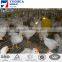 4 layers broiler chiken cage,chicken laying cage