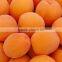 Special offer 2015 new crop Canned Apricot fruit in Syrup
