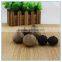 Transparent Canned Packed Aged Black Garlic Extract Powder