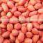 Java Bold Peanuts
