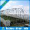 Customized commercial walk in plastic film high tunnel greeenhouse