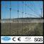 galvanized iron wire horse/sheep/cattle/deer/cow fence panel(ISO Certification)