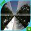 high tensile strength transparent 200 micron temperature control long beas planting waterproof greenhouse woven film