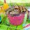 Popular Portable Bucket BBQ Grill