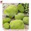 New 2017 product idea gardening products wholesale floor mat for decoration