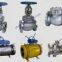 Cast Steel Valves