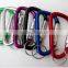 D-Ring Aluminum Carabiner Clip Hook Climbing Screw Locking Keychain Keyring