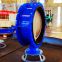 Double flanged butterfly valve