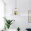 Modern Nordic Planter Lamp Indoor Room Decorative Hanging Lamp