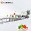 Full Automatic Apple Fruit Washing fruit and vegetable washing and drying machine