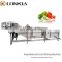 Professional leaf vegetable salad maker machine / vegetable washing processing line for sale