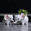 Simple outdoor gardening creative succulent flower pot Elephant ceramic flower pot