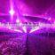new arrival UL Listed Grow light strip, Factory selling, color ratio adjustable , 4 chip in 1 LED