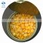Canned Sweet Corn Kernel For Supermarket 340g/250g