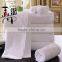 2016 new products 100% cotton custom quick dry hotel face towel