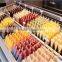ice lolly making maker