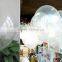 transparent Balloon