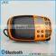 FM Radio Speakers Digital Direct Choose Music, SD Memory Card Reader Speaker