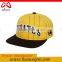 China headwear custom 3D embroidery snapback cap oem hiphop cap and flat cap