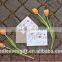 Print floral paper pocket envelopes and cards