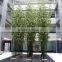 Natural Look Artificial Bamboo for Buiding Landscaping