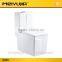 Washdown s trap 250mm 4 inches ceramic one piece toilet                        
                                                Quality Choice