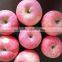 Fresh red Fuji apple