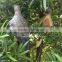 Bird Decoy retail Plastic Hunting Decoy Plastic Turtle animal Bait Sample Prey Hunting Tool Animal Home Garden Decoration