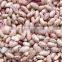Agricultural Products-Chinese New Crop Light Speckled Kidney Beans With Good Quality                        
                                                Quality Choice