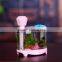 Mini usb fish tank humidifier for household ultrasonic air purifier humidifier