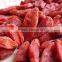 350grains Tibetan Goji Berry/red Dried Fruit