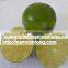 SEEDLESS LEMON/ LIME with BEST PRICE