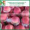 Fresh apple growing paper bag with good quality