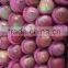 bangladesh market qinguan Apple