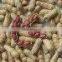 Peanuts in shell