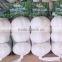 YUYUAN brand hot sail fresh garlic garlic importers