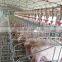 China factory supply save time and labor automatic feeding system for pig