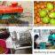 Neweek combine washing function green walnut skin peeler machine