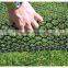 turf reinforcement mesh ,used for grass protection,made by HDPE Extruded Plastic Mesh